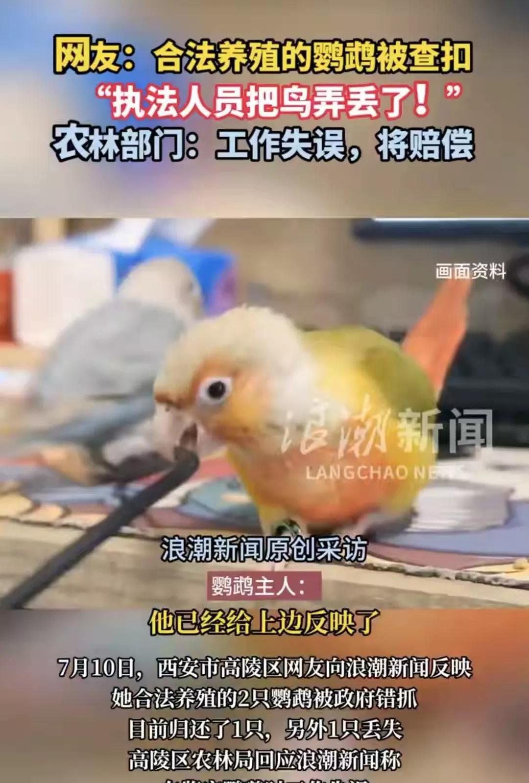 说点啥好呢？
各地的政府部门，对居民饲养的“鹦鹉问题”，历来都非常重视[笑哭]，