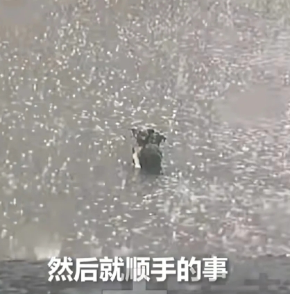 爱出者爱返，福往者福来！近日，湖北恩施暴雨，一男子开车行驶在路上，看到暴雨中有两