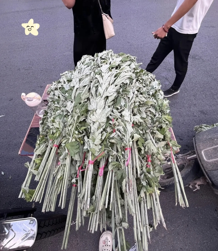 失业进入第5天，我带着86捆亲手采摘的艾叶，早早来到早市。本想着一捆卖一块钱，能
