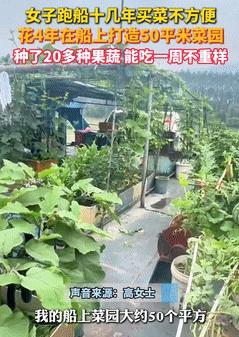 “彻底解释不清了！”女子跑船吃不到新鲜蔬菜，竟在船上打造一个50㎡菜园！如今不仅