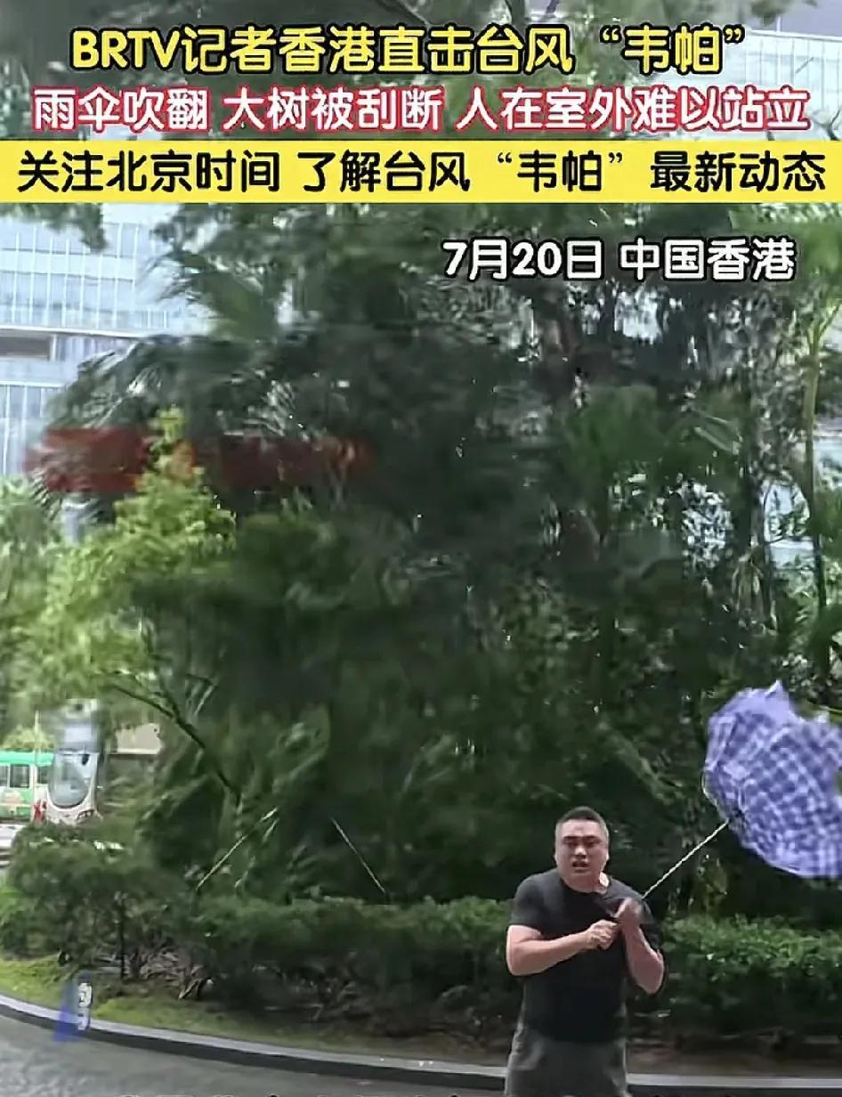 7月20日，北京一位记者在香港沙田报道极大，记者拿着雨伞都被吹翻，路边的树木被吹