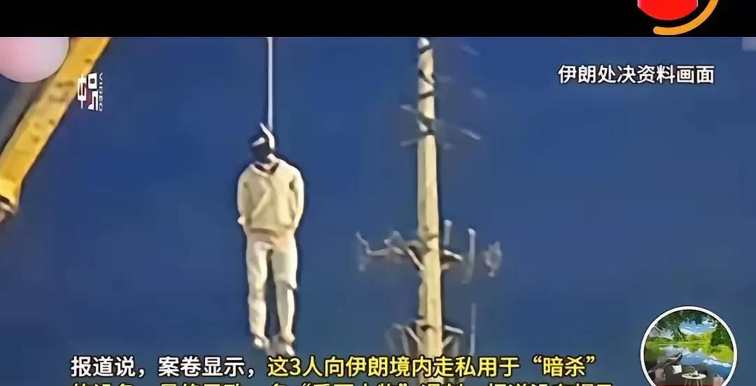 伊朗处理间谍的手段虽然看着有点不人道，但是对这种出卖民族和国家利益的汉奸，给国家
