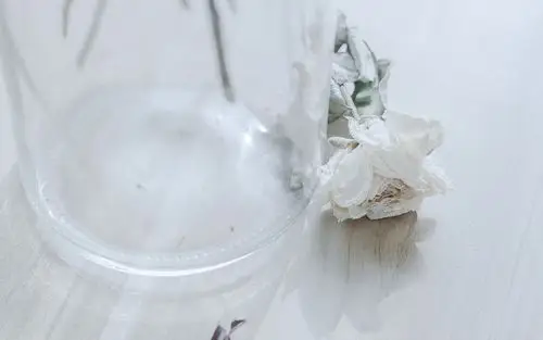白羊座性格大揭秘！