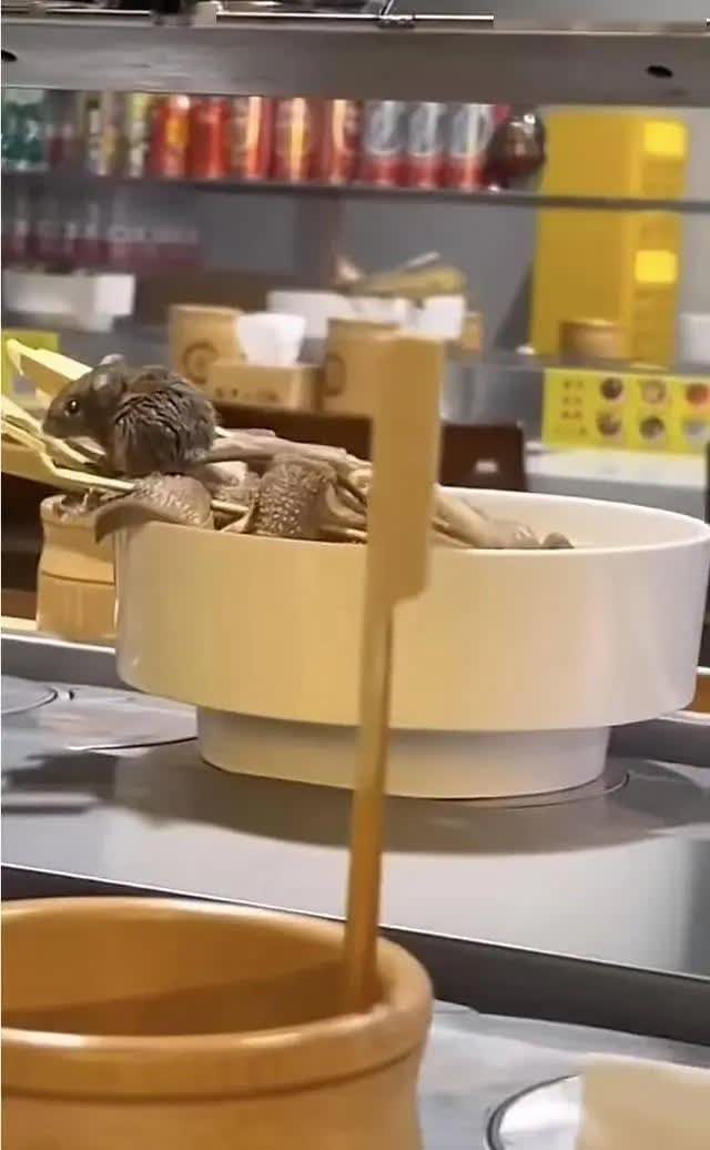 近日，重庆一家火锅店因为老鼠爬上餐桌登上了热搜。据当时用餐的顾客回忆，她在就餐时