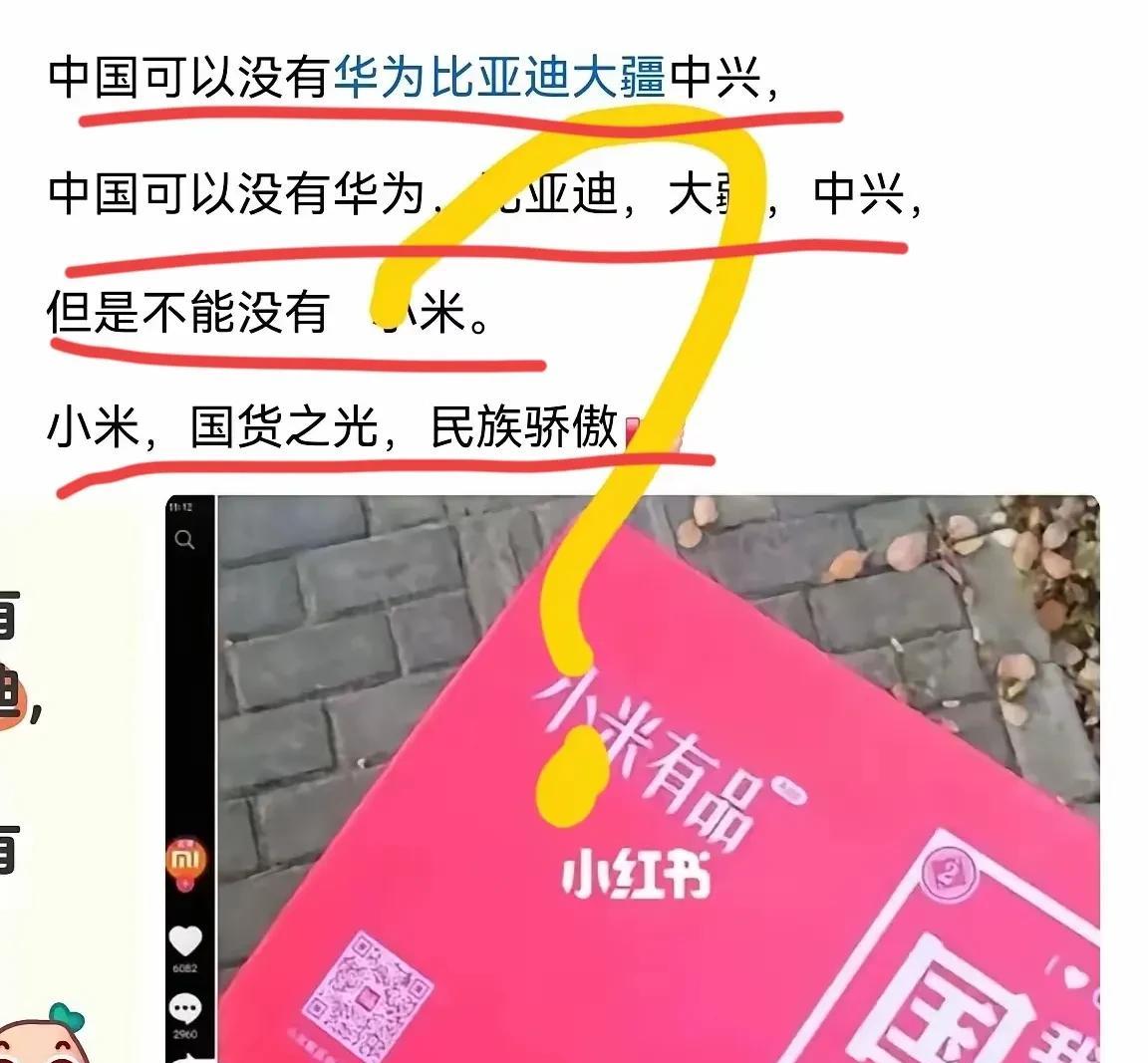 小米公司在全国还是有非常多的铁粉，对小米特别追捧，有些铁粉甚至认为，中国可以没有