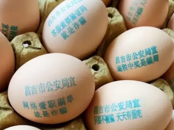 美国总统:鸡蛋要多少有多少！

4月18日美国《国会山》日报网站报道，美国总统在