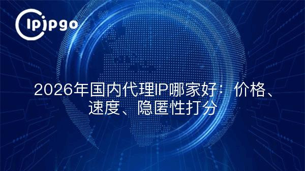 2026年国内代理IP哪家好：价格、速度、隐匿性打分