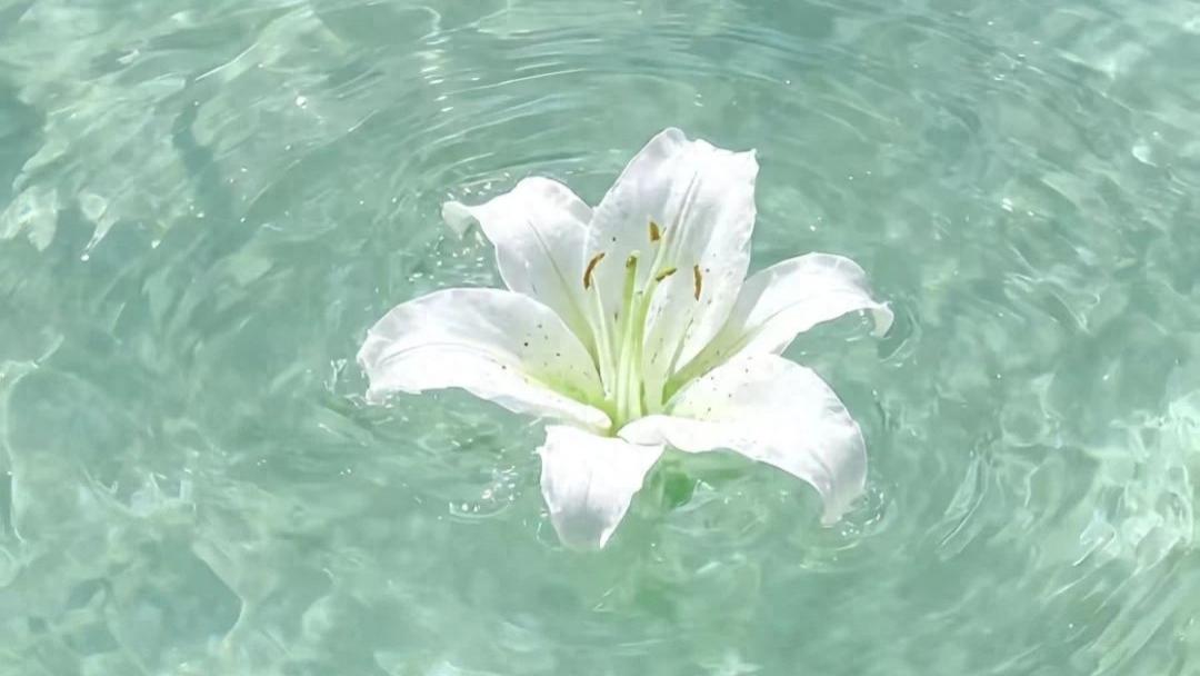 每一届年轻人都以为自己与众不同