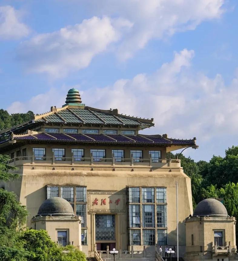 可惜了一张985门票！武汉大学食堂内学生行凶，伤人毁己！