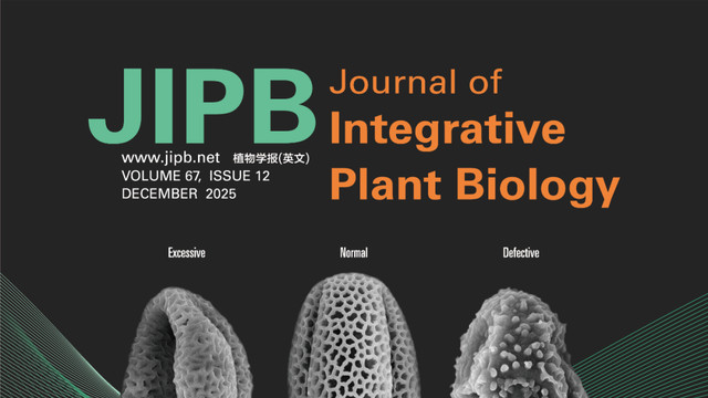 中国科技期刊卓越行动计划推介：JIPB | Volume 67 Issue 12 2025