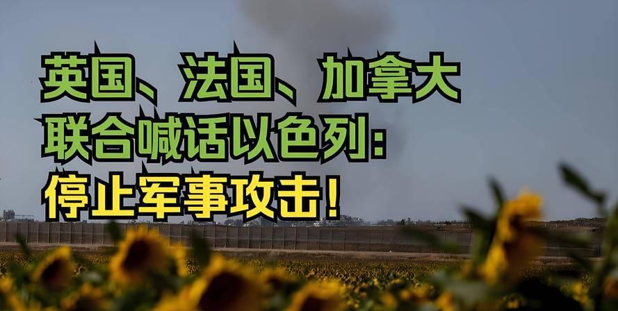 这次绝对要一撸到底
法国总统马克龙昨天在巴黎表示:任何对巴勒斯坦的进攻、掠夺和占