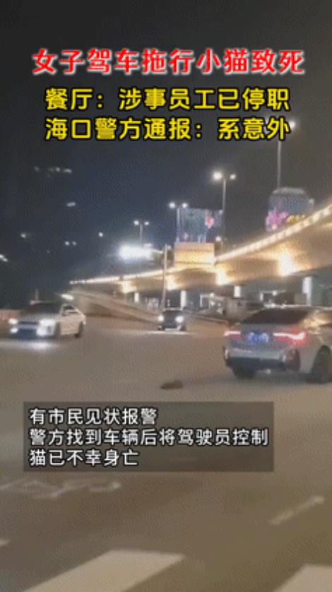 “网暴害死人！”女子开宝马当街拖行猫咪致死后续：被曝在宠物友好餐厅当厨师，警方通