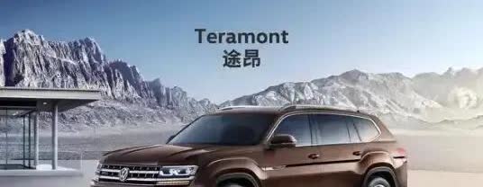 Deepseek预测中国未来汽车厂商生存概率前十名：
1. 比亚迪 BYD  
