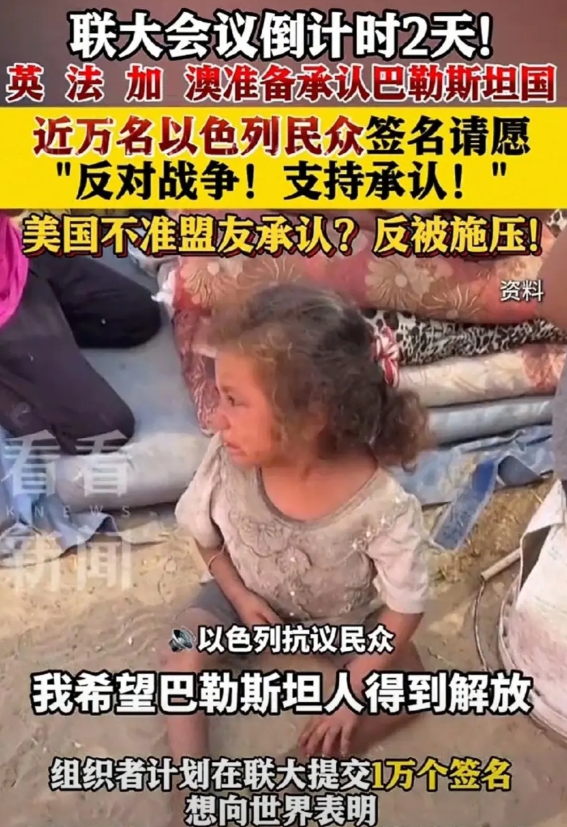日本现在取代英国成为了美国最大的傀儡！被美国任意牵着鼻子走，毫无主权国家的尊严！