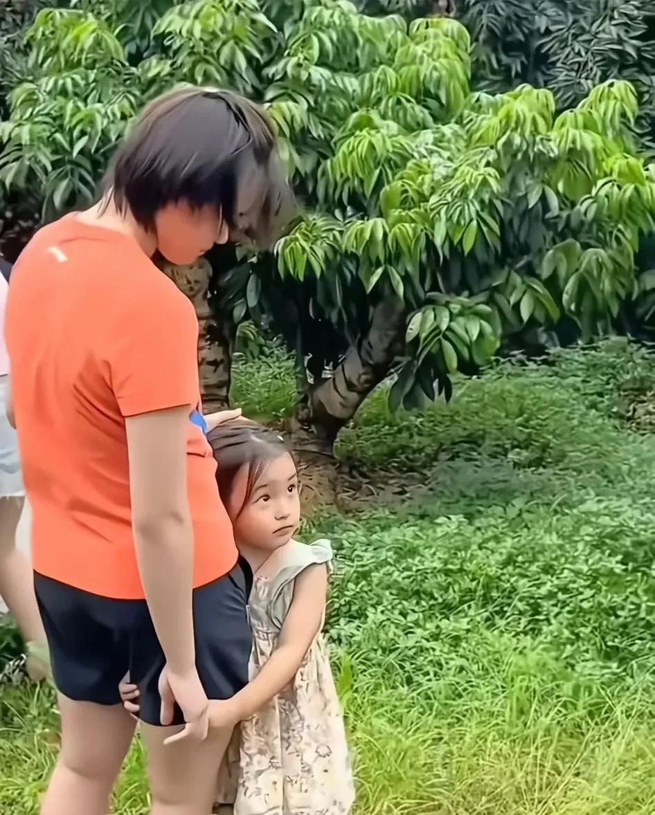 全红婵怎么也没想到，
自己只是回家陪家人摘了个荔枝，
居然又被人吐槽身材发福厉害