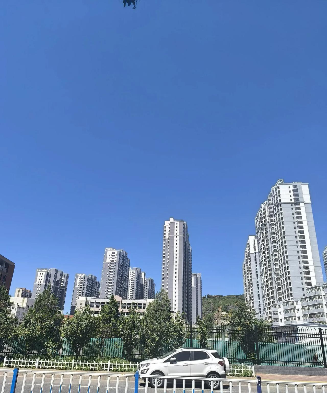 今天已经8月2日了，往年的这个时候蚊子，苍蝇太多了，今年这些东西一点踪迹都没有，