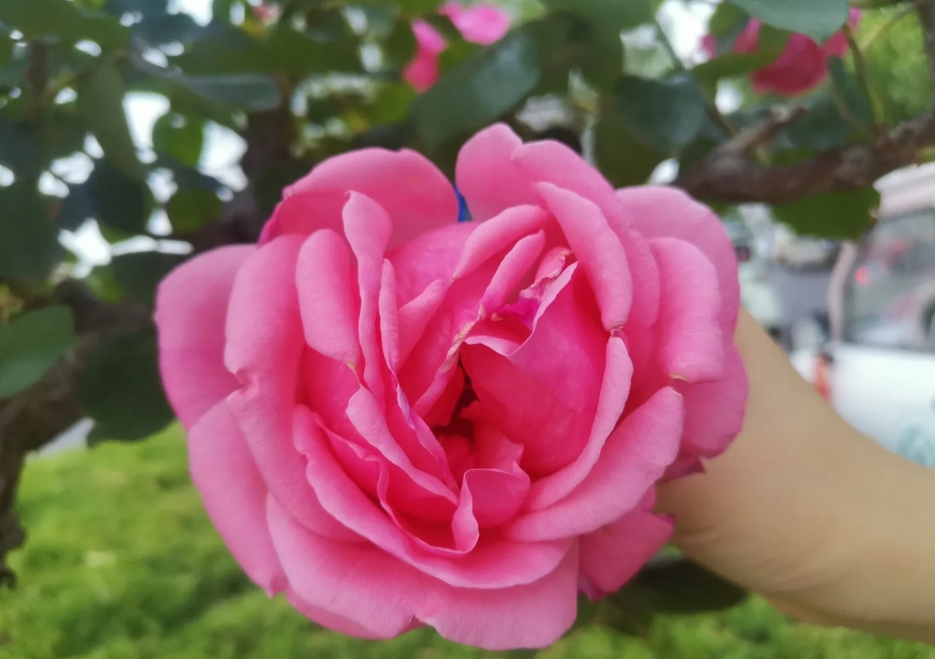 早上，老公突然说：“等我们俩都老了，该怎么办？”我说，到老还早着呢，想那么多干嘛