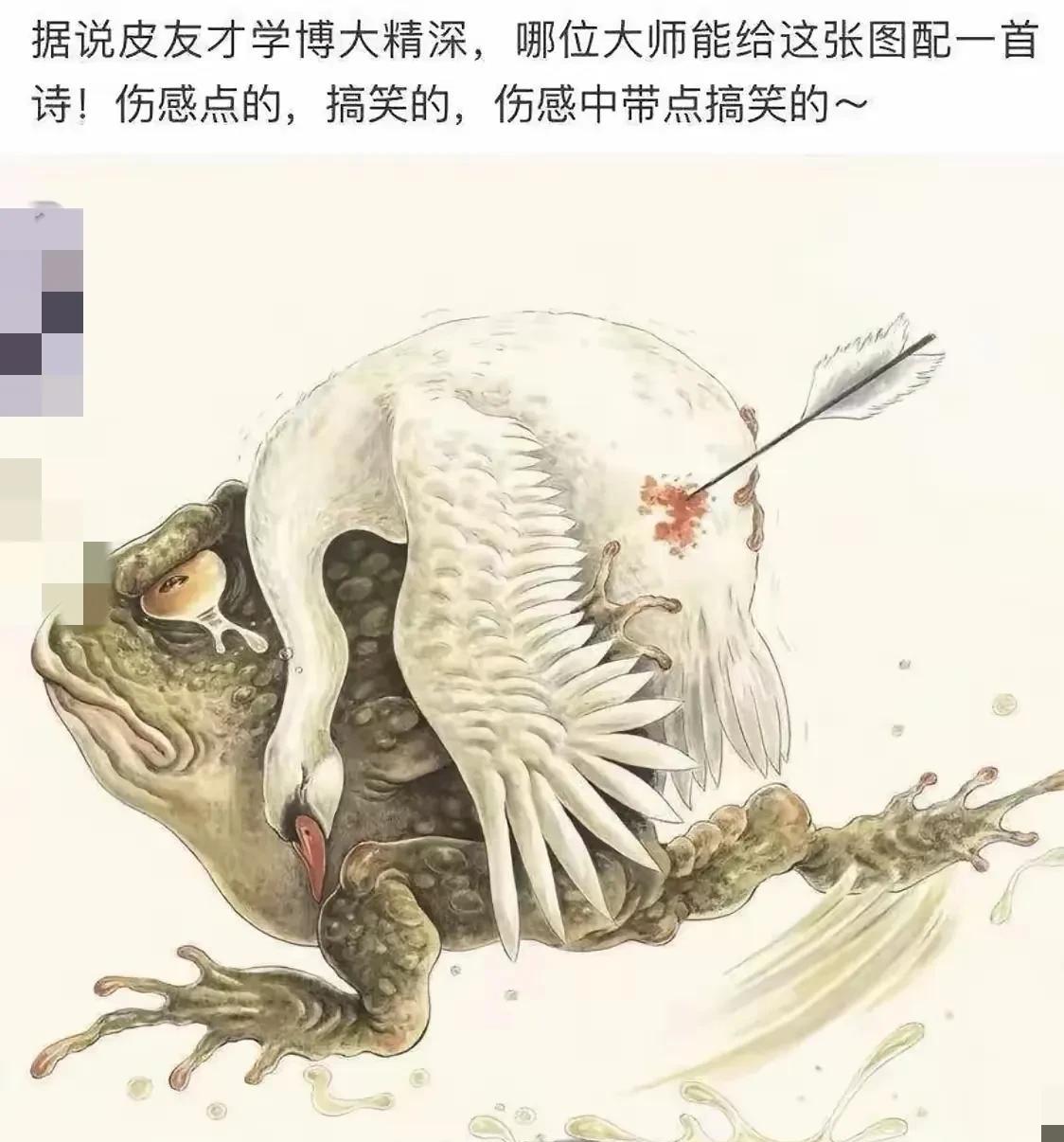 我除了望图兴叹，
啥也干不了！[捂脸]