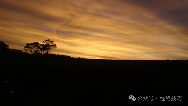 小雪过后，每晚睡前坚持10分钟拍这2个“接地气”的地方，身体热乎乎的，晚上也睡得更踏实