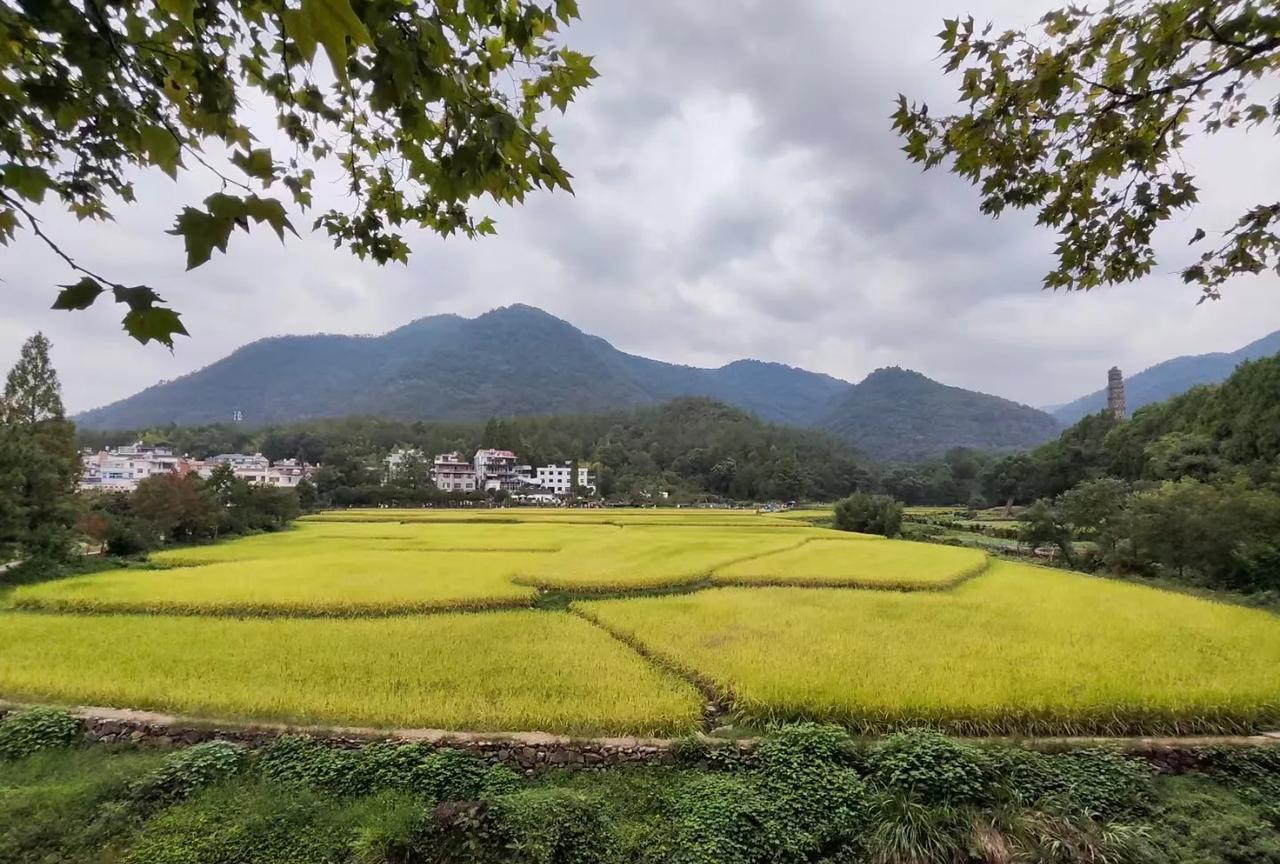 善良比聪明重要
健康比财富重要
心情比美食重要
开心比所有都重要
生活愉快幸福安
