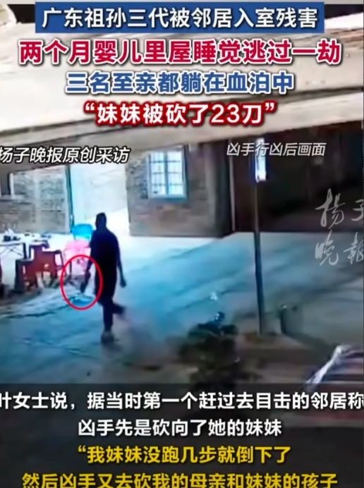 一家三口被杀，婴儿睡觉侥幸存活。凶手是精神病，限定刑事责任能力。

2025年3