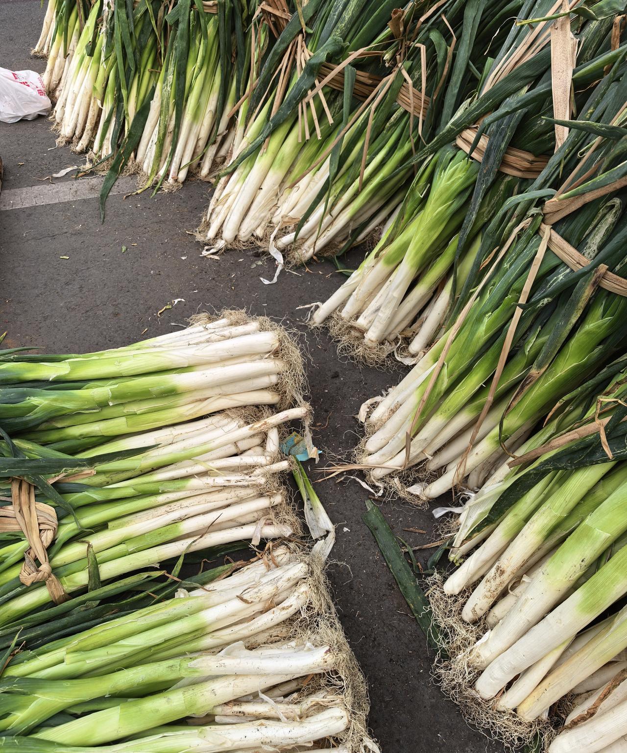 逛一圈长春菜点，楞是不知道大葱单价——整梱出售，不零卖，25元/一梱，大约30斤