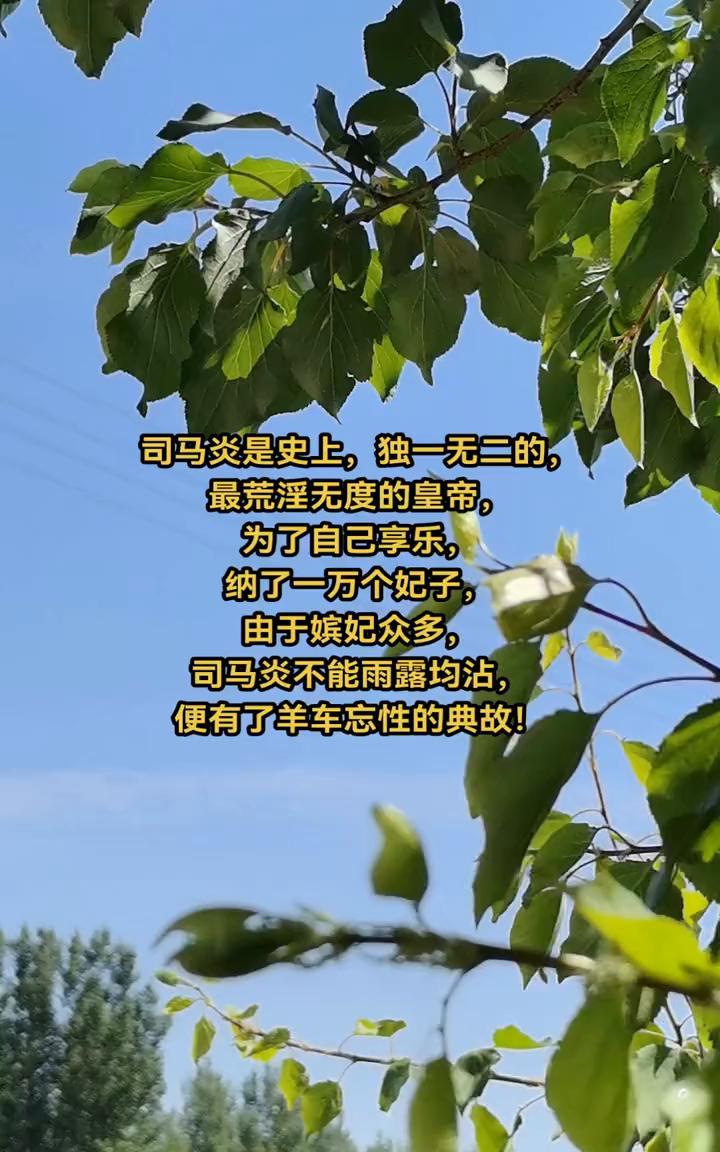 司马炎是史上独一无二的，最荒淫无度的皇帝。为了自己享乐，纳了一万个妃子。由于嫔妃
