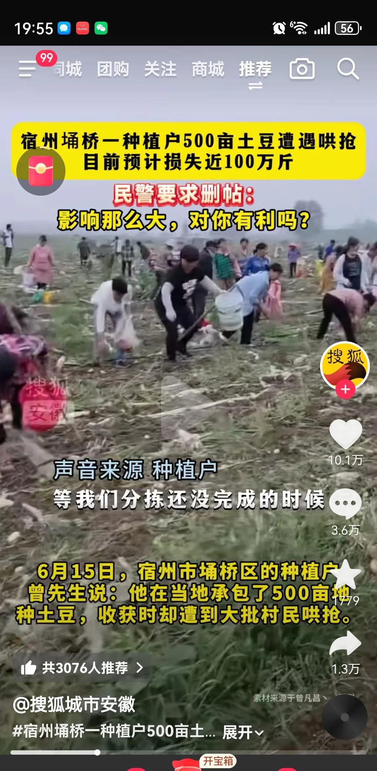 安徽宿州的曾先生太惨了！他承包500亩地种土豆，丰收时却成了噩梦。6月10日起，