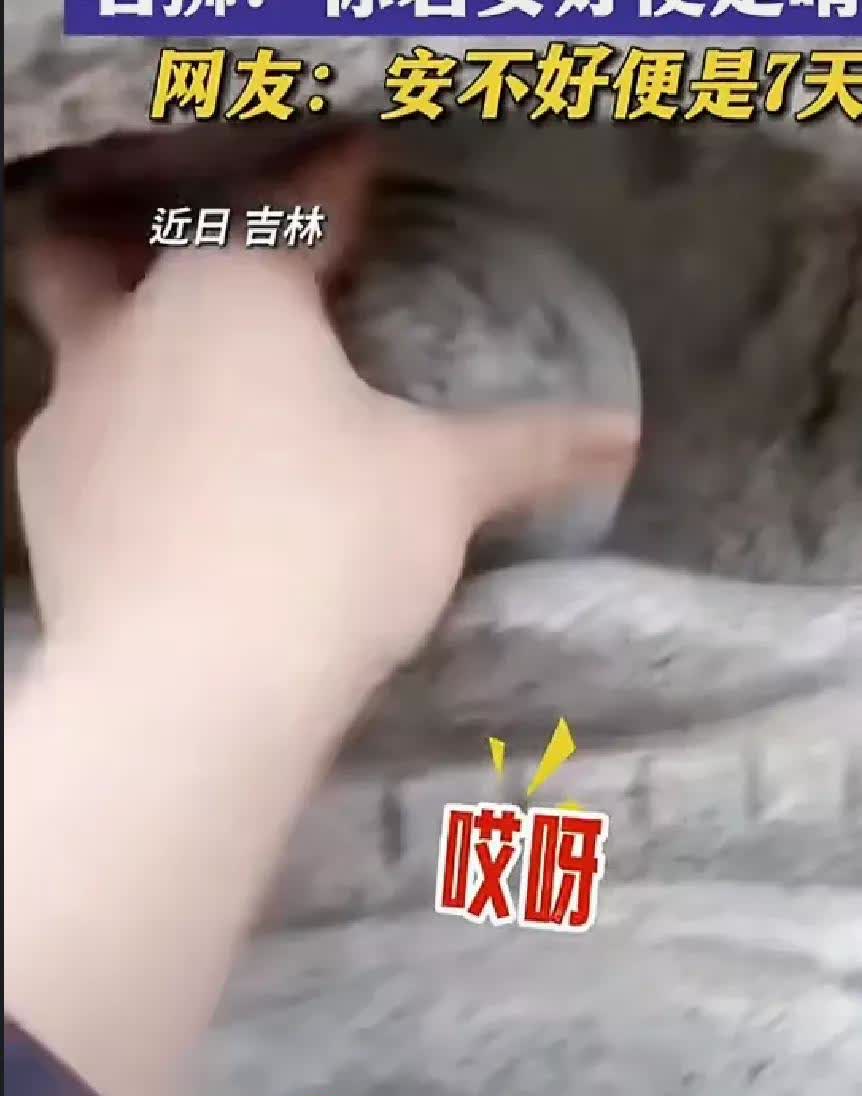 “长见识了”女子看到一座石狮子瞬间被吸引，特别是对狮子嘴里的球感兴趣，她想石球既