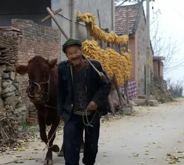 老家话，
早上吃过早饭十点以后是。
饭吧，
中午十二点吃饭。
上午了，
到下午三