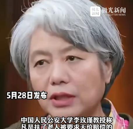 “不够判刑，那就高额罚款！”中国人大李玫瑾教授对“扶老被讹”现象提出建议：凡是扶