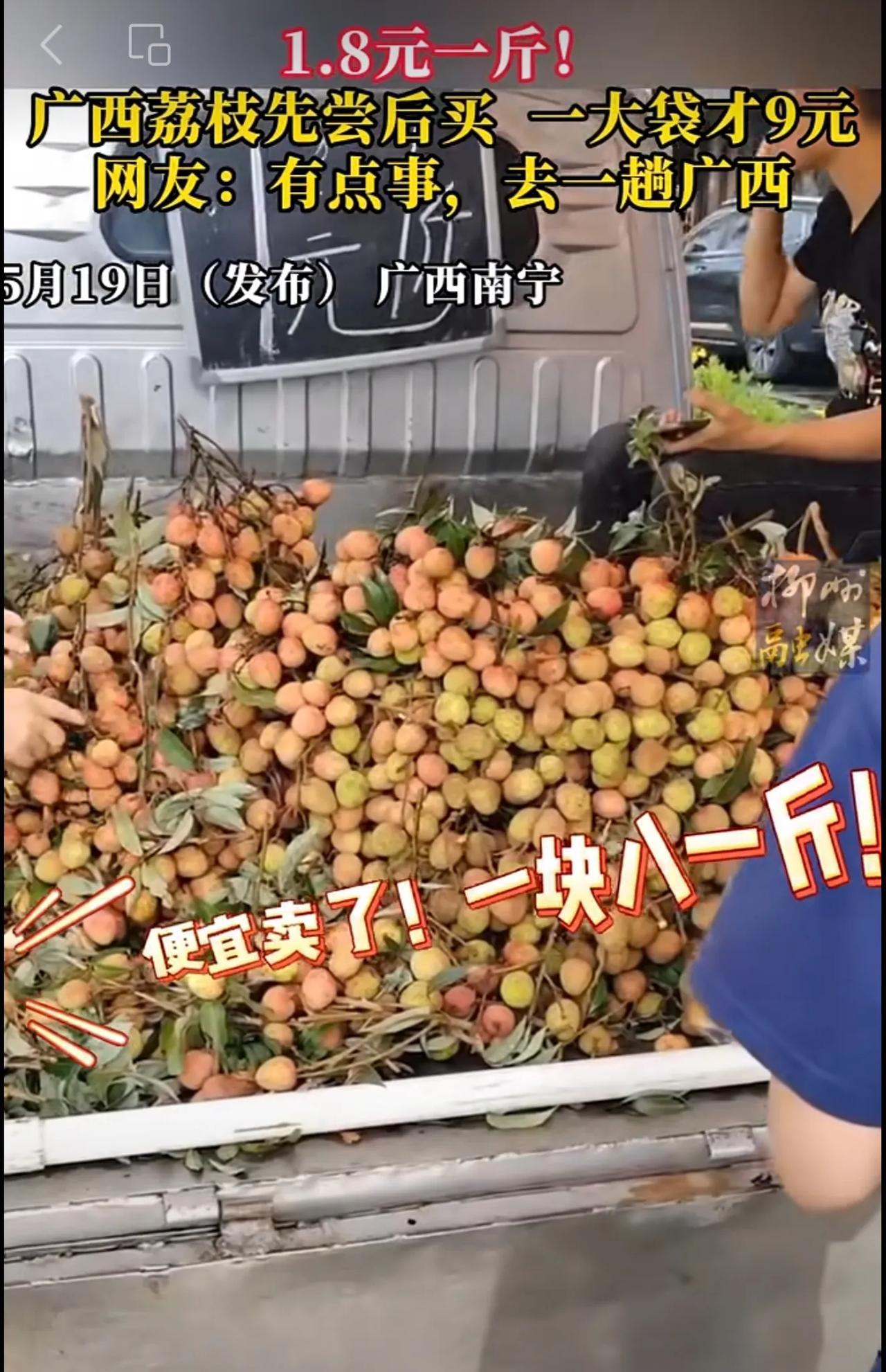 一块八一斤！gogogo快来#广西 吃荔枝！更多  #本地新闻 欢迎关注@柳州1