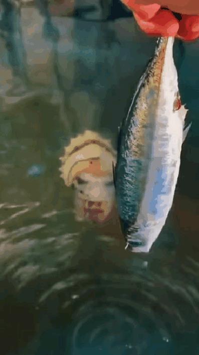 大自然的神奇，晚上看估计魂都吓掉[石化][石化]