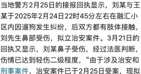 女子遛狗不牵引绳，反而把好心提醒她的男子打伤，男子报警后被定为治安案件，经过伤情