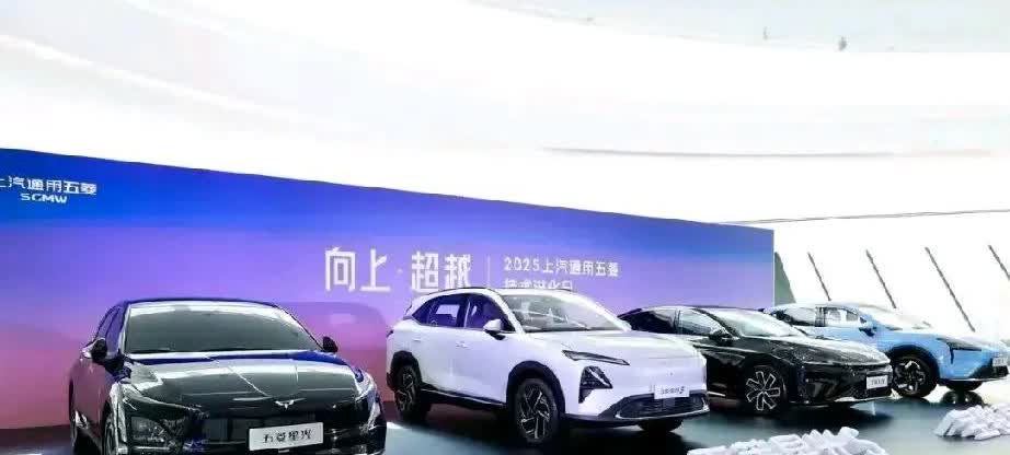 2025年国产汽车品牌质量前五名：
第一名：一汽红旗
第二名：奇瑞汽车
笫