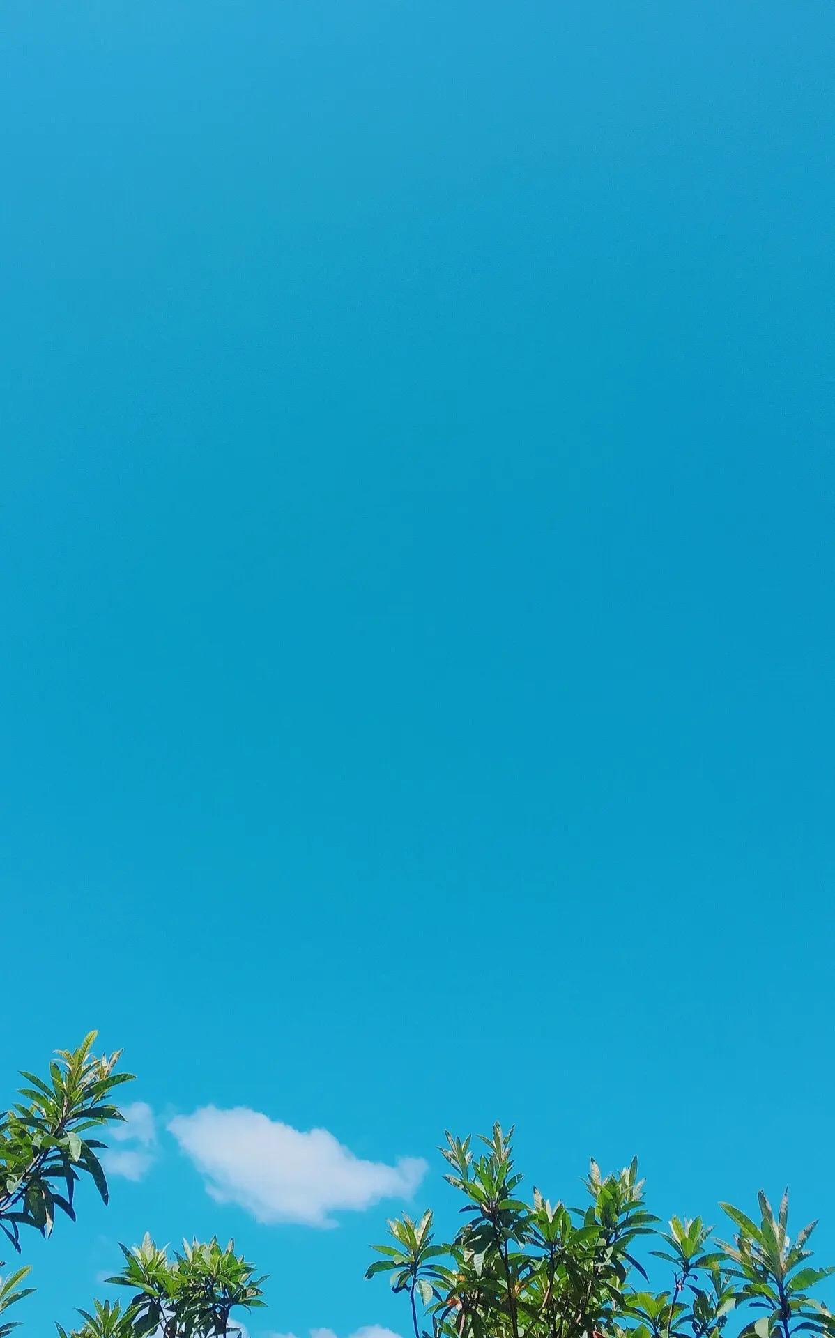 喜欢做伸手党，找别人要标准答案的人，注定穷一辈子。总是嫌麻烦的人，基本可以判定他