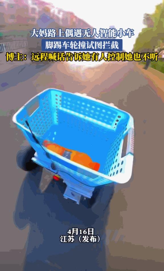 “大妈又来作妖了！”近日，一位博主为了测试自己新买的智能无人小汽车，就让它独自出
