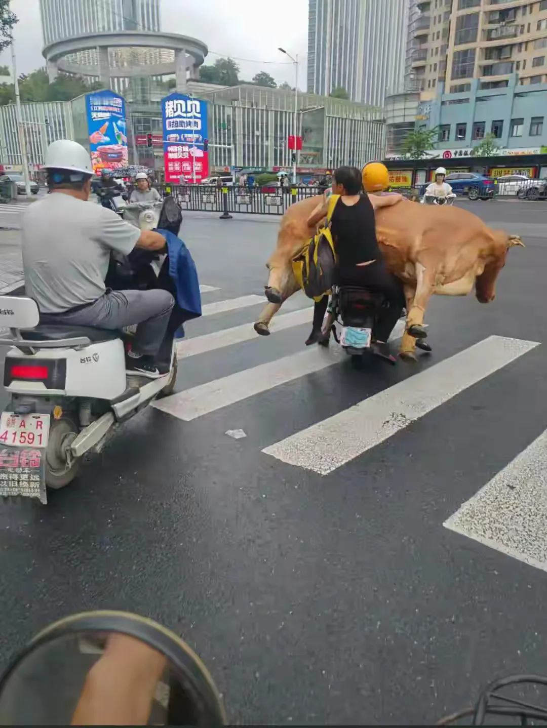 我想知道这电瓶车啥牌子的，这么能拉？

