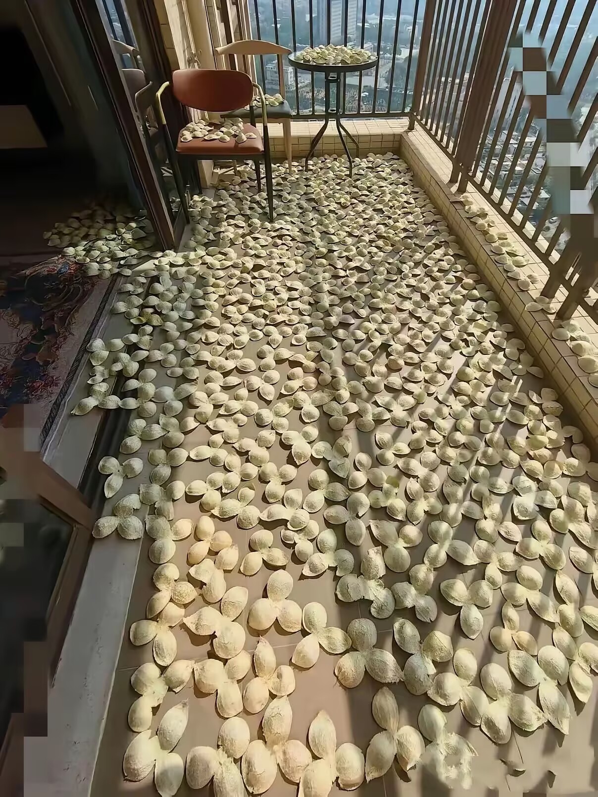 给家婆气死了，哪里买不到哦，非要自己晒