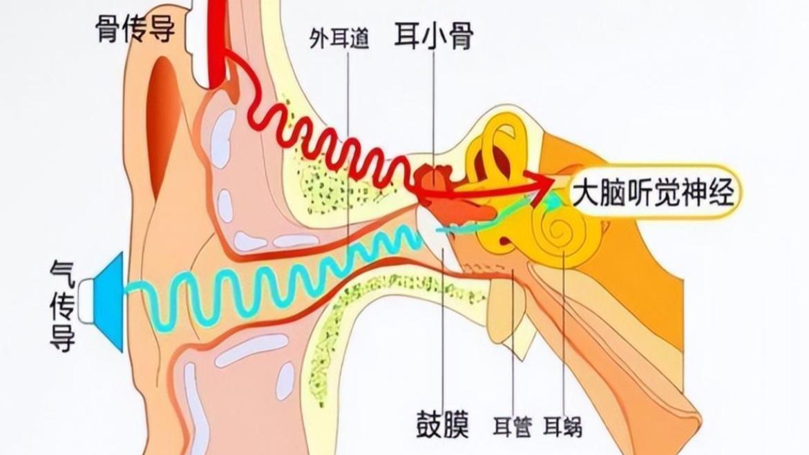 什么是开放式耳机？开放式耳机和骨传导耳机的区别？