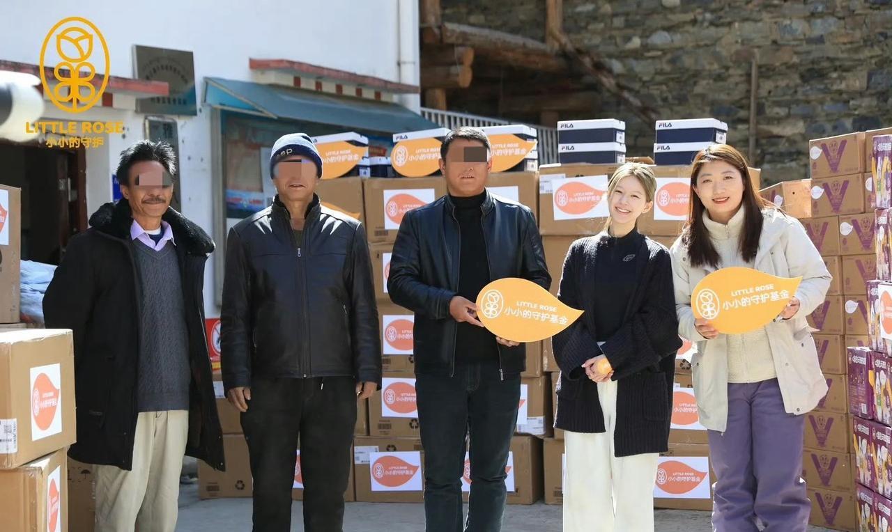 这个基金是赵露思弄的，专门用来：关注孩子心理健康、搞好乡村教育、帮帮乡村老师和困