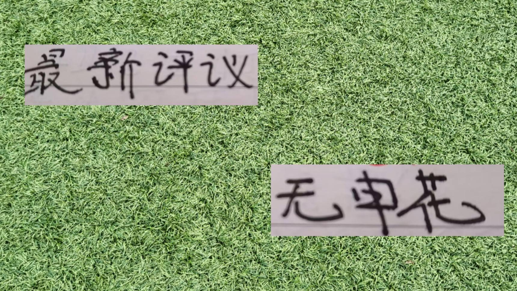 中超最新评议 终于没有申花名字!