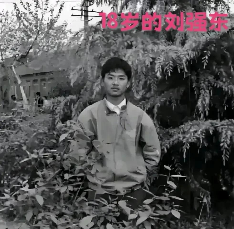这是刘强东十八岁时和章泽天十八岁时的对比照，当看完后，真的令人惊叹不已！