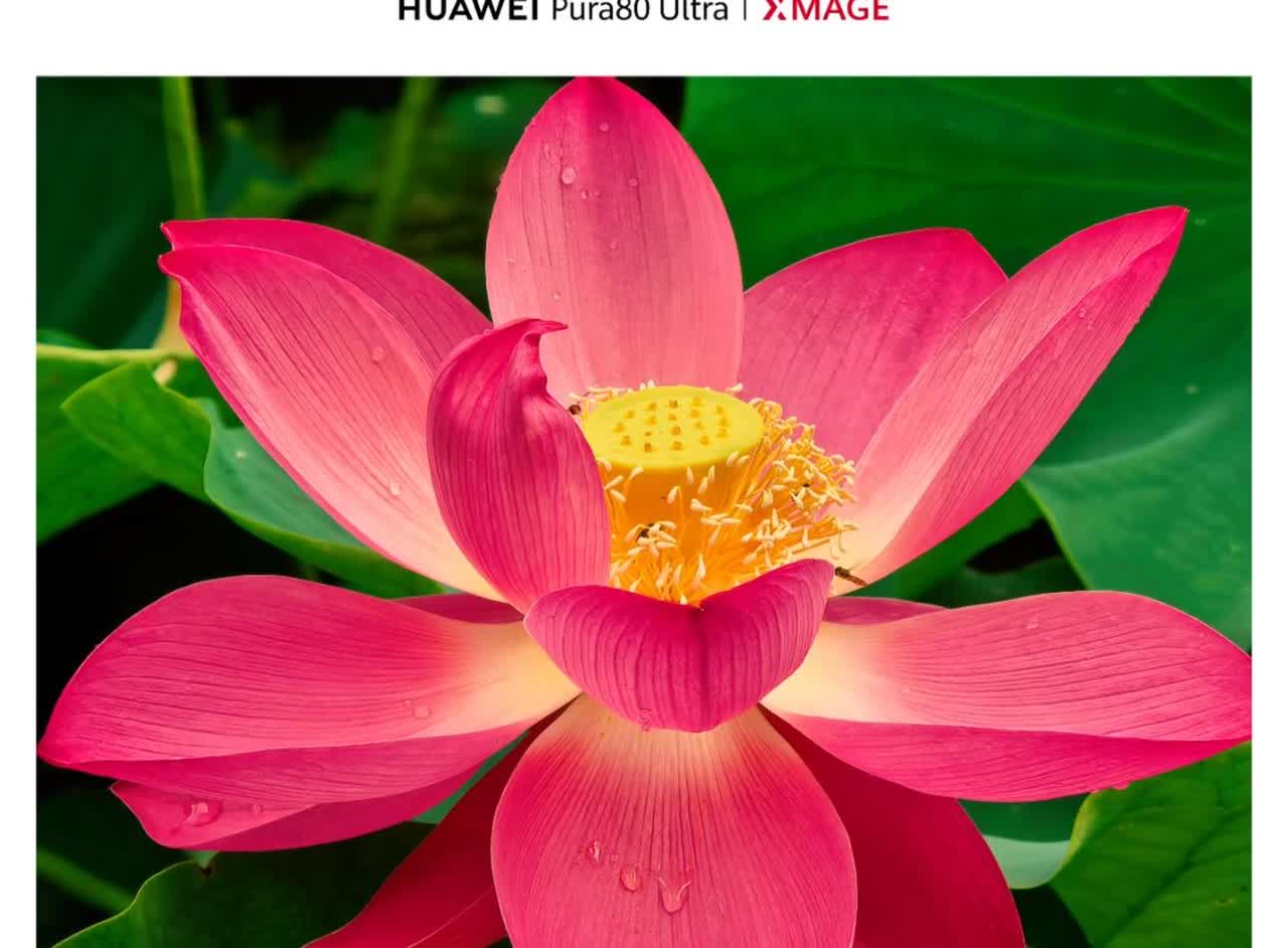 华为Pura80 Ultra：单反可以扔了
Pura80 Ultra用实力证明