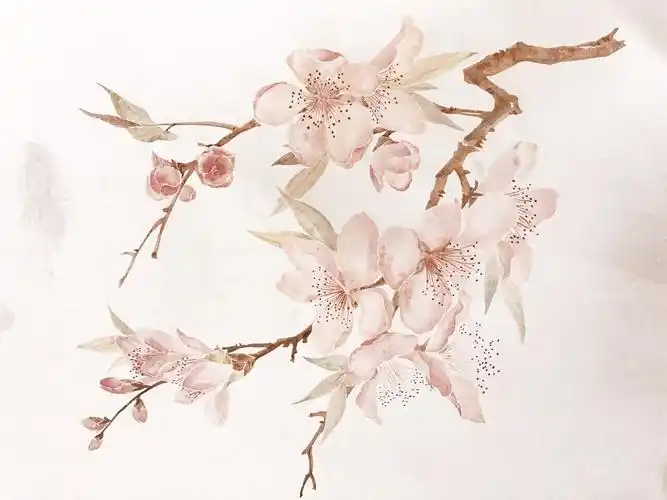 原来她才是桃花运始祖！诗词里藏着最强相亲广告