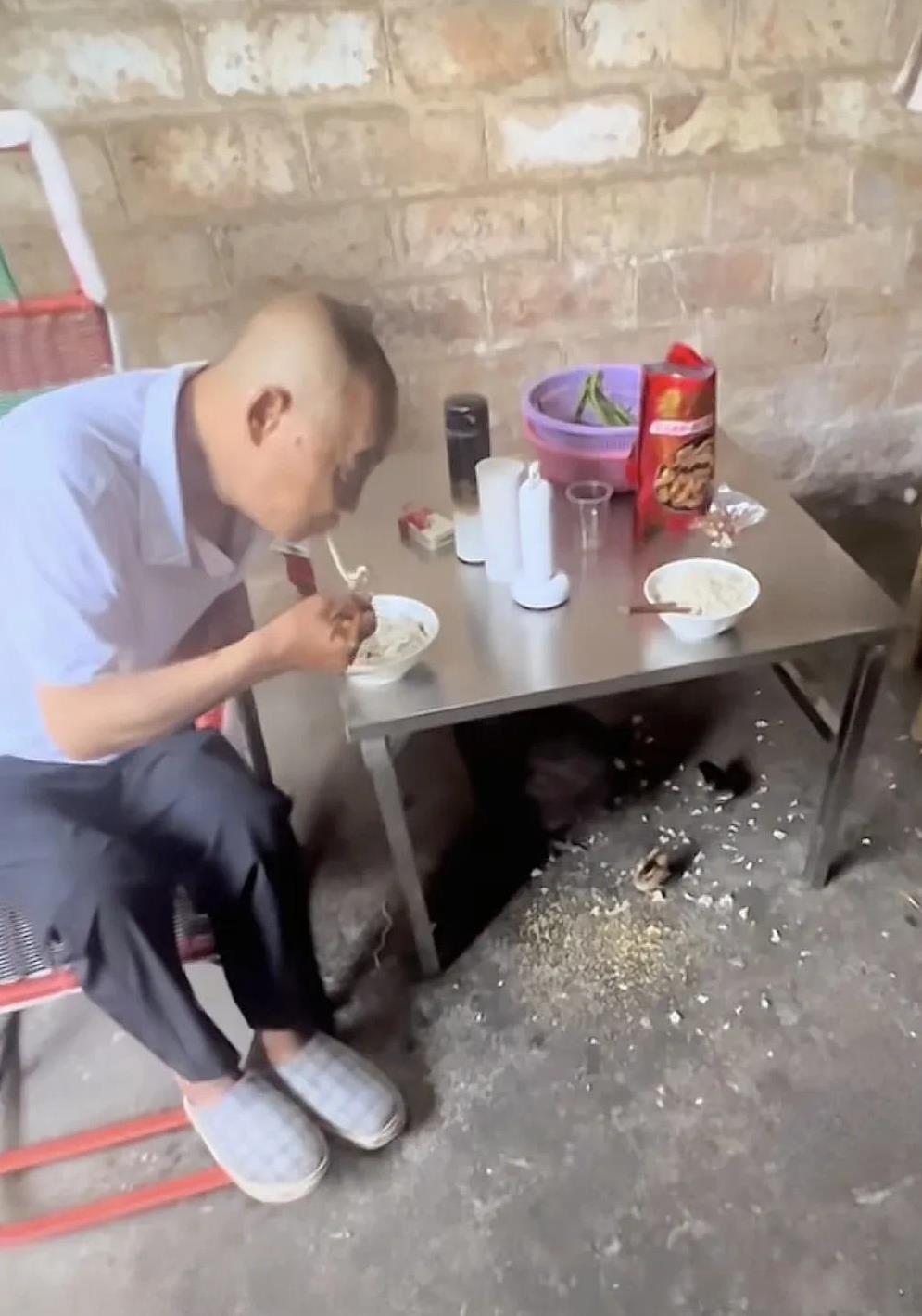 今天苏伢子哥哥早上给爸爸妈妈煮的面条，看爸爸吃得还挺带劲的！
他们家的老母鸡带着