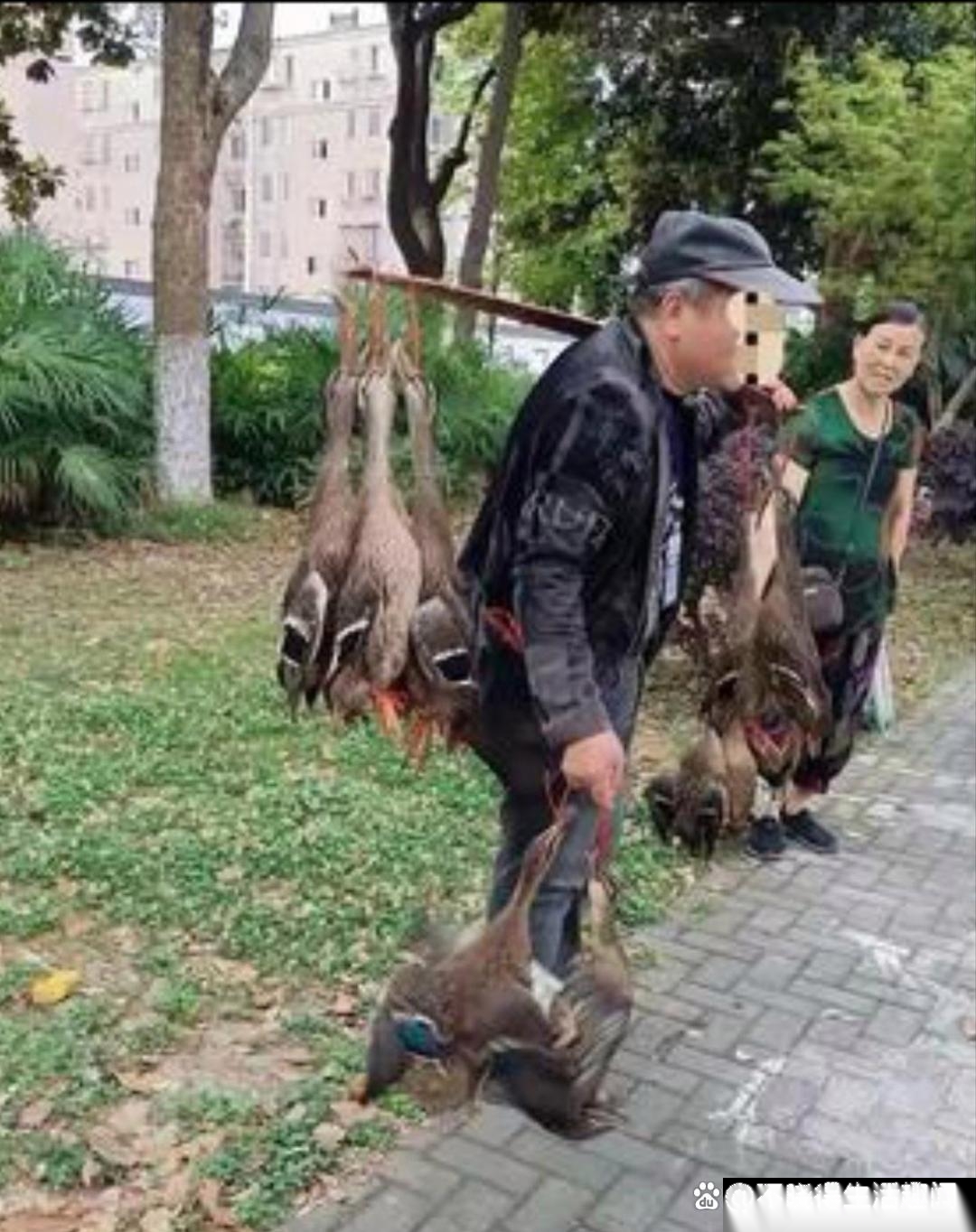 看这位大爷的风采，难怪大妈凝视得如此沉醉，此情此景，换做任何一位旁观者，怕是也难
