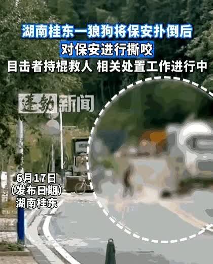 湖南，男子出去倒垃圾时，突然冲出一条大狗，将他扑倒在地撕咬，男子虽然极力反抗，奈