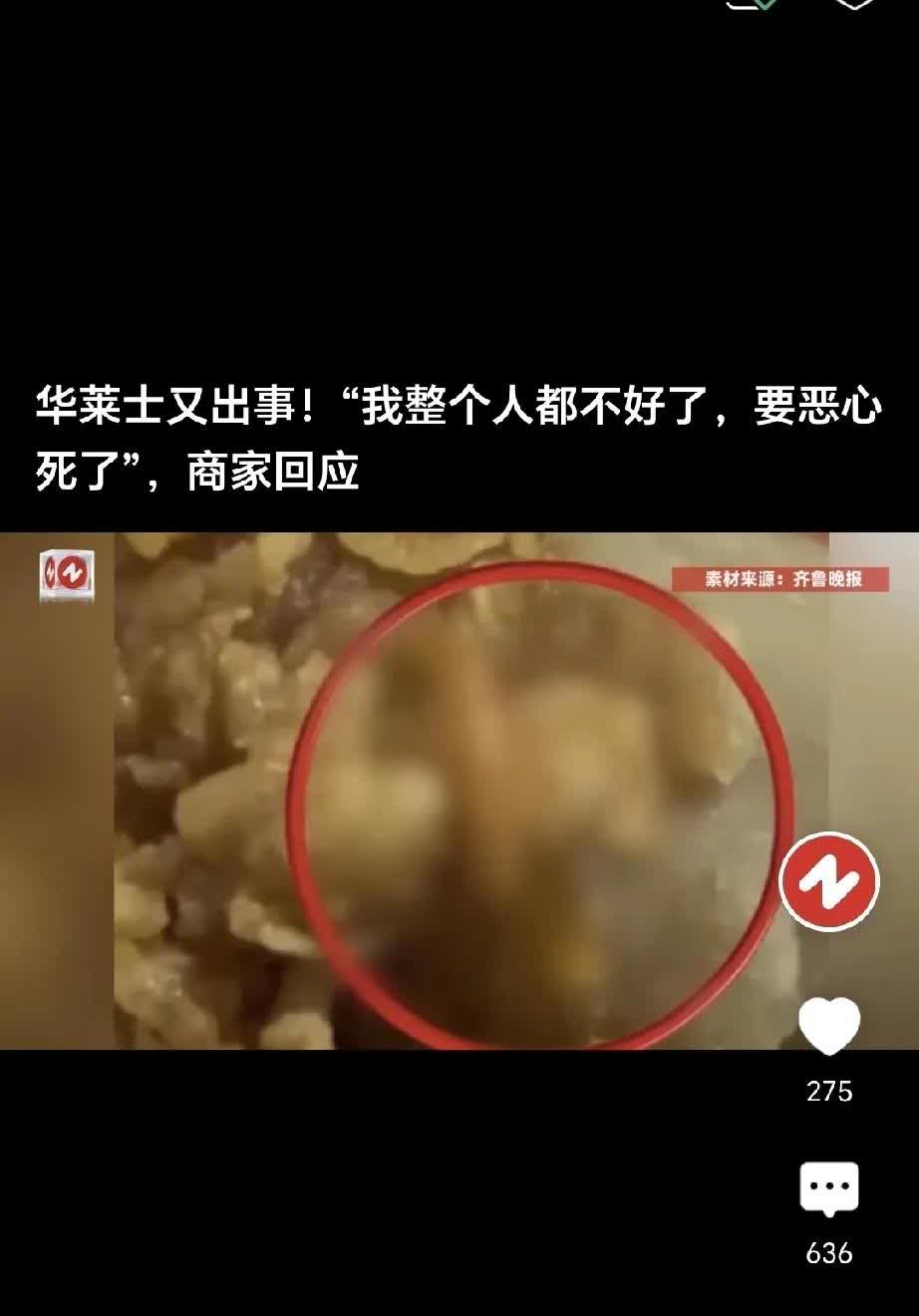 天塌了，正吃着炸鸡，居然从里面爬出一条……
上海的陈女士从外卖平台下单了某莱士