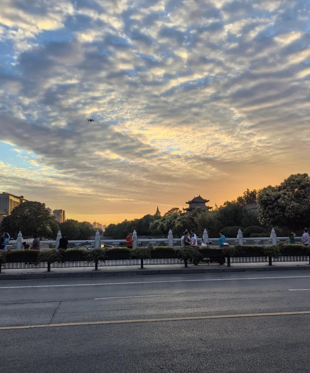 花开花落自然事，